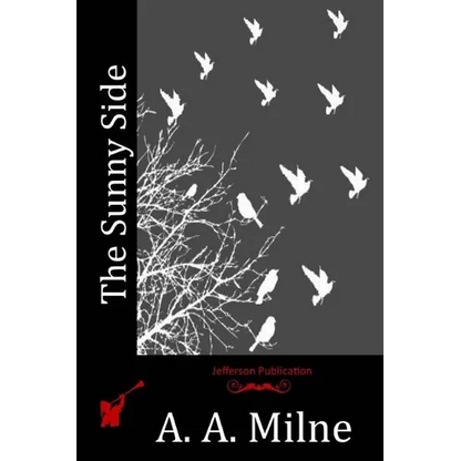 The Sunny Side - Paperback