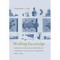Working Knowledge: Employee Innovation and the Rise of Corporate Intellectual Property, 1800-1930 - Paperback