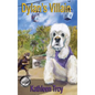 Dylan's Villain - Hardcover