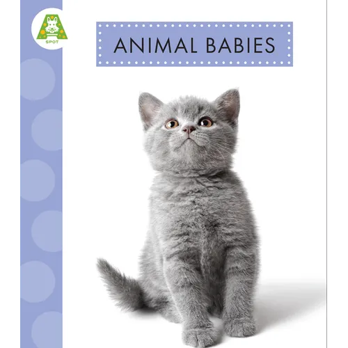 Animal Babies - Hardcover