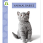 Animal Babies - Hardcover