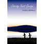 Chasing Saint George - Paperback
