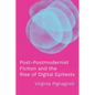 Post-Postmodernist Fiction and the Rise of Digital Epitexts - Hardcover