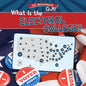 What Is the Electoral College? - Library Binding