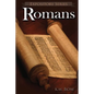 Romans: A Literary Commentary On the Book of Romans - Paperback