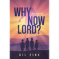 Why Now Lord?: God in Action - Paperback