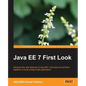 Java Ee 7 First Look - Paperback