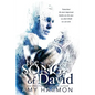 The Song of David - Paperback