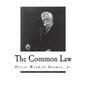 The Common Law - Paperback