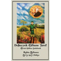 DeSavyok Elfhame Tarot Special Edition Guidebook - Paperback