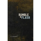 Rumble and Flash - Paperback