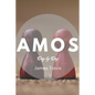 Amos: Day by Day - Paperback