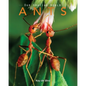 Ants: Amazing Pictures & Fun Facts on Animals in Nature - Paperback