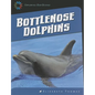 Bottlenose Dolphins - Paperback