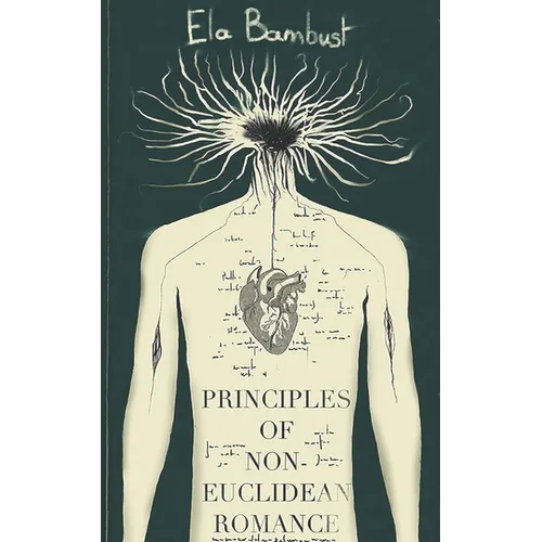 Principles Of Non-Euclidean Romance - Paperback