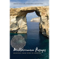 Mediterranean Passages: Readings from Dido to Derrida - Paperback