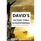 David's Victory Thru Schizophrenia: Healing Awareness - Paperback