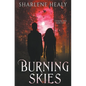 Burning Skies - Paperback