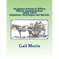 St.Ignace Parish of Willow Bunch, Saskatchewan: 1882-1910 Baptisms, Marriages, Burials - Paperback