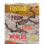 Fossils from Lost Worlds - Hardcover