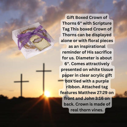 Gift Boxed Crown of Thorns With Scripture