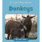 Donkeys - Paperback