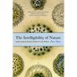 The Intelligibility of Nature: How Science Makes Sense of the World - Paperback