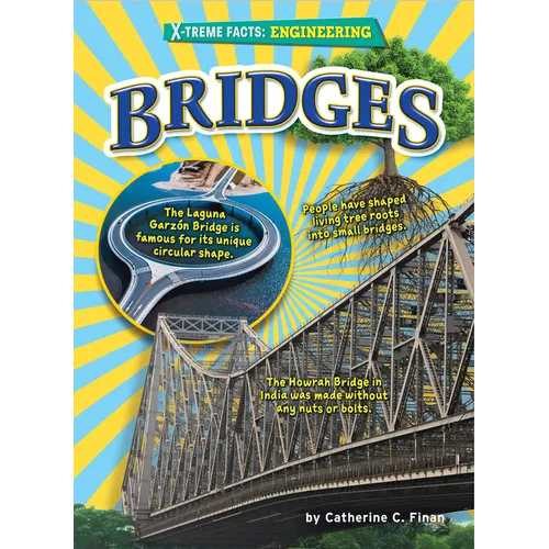 Bridges - Library Binding