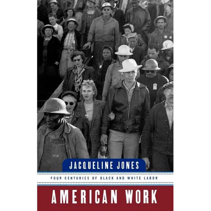 American Work: Four Centuries of Black and White Labor - Paperback