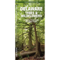 Delaware Trees & Wildflowers, 2nd Ed: A Folding Pocket Guide to Familiar Plants - Paperback