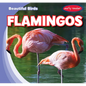 Flamingos - Library Binding
