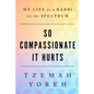 So Compassionate it Hurts: My Life as a Rabbi on the Spectrum - Paperback