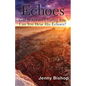 Echoes: God is Always Chasing You. Can You Hear His Echoes? - Paperback