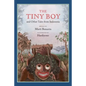 The Tiny Boy and Other Tales from Indonesia - Hardcover