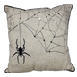 Spooky Spider Web Pillow