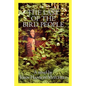 The Last of the Bird People - Paperback