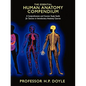 The Essential Human Anatomy Compendium: A Comprehensive and Concise Study Guide for Success in Introductory Anatomy Courses - Paperback