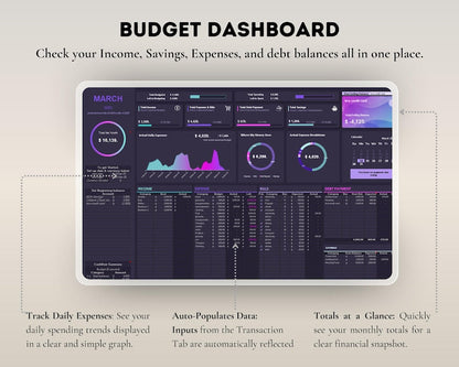 Simple Budget Spreadsheet PLR Template: Google Sheets & Excel | Income Expense Bill | Editable Finance tracker