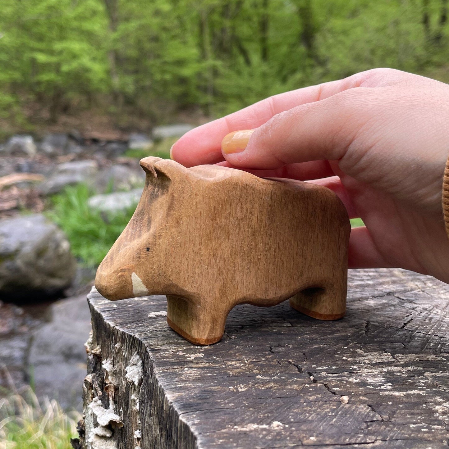 Wooden Boar Waldorf Toy