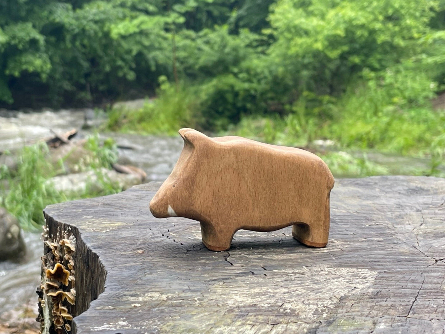 Wooden Boar Waldorf Toy