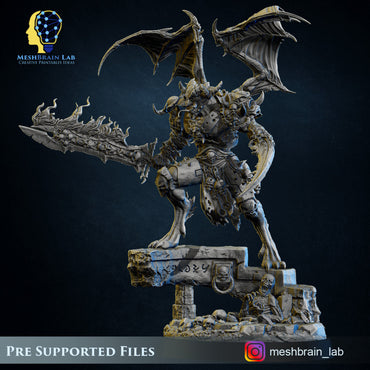 3d Printed Doom Marine Rewarded by the Gods by Meshbrain labs