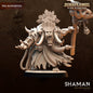 3D Printed Orc Shaman by Dark Gods Miniatures