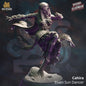 3D Printed Cahira - Elven Sun Dancer by DM Stash