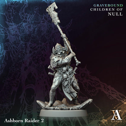 3D Printed Ashborn Raiders by Archvillain Games
