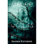 Skelee Boy and the Two Worlds: A Skelee Boy Book - Paperback