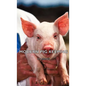 Modern Pig Keeping - Hardcover