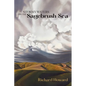 Stormy Waters on the Sagebrush Sea - Paperback