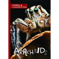 Arachnids - Library Binding