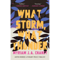 What Storm, What Thunder - Paperback