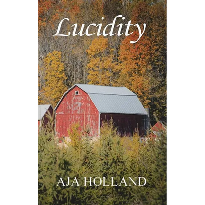 Lucidity - Paperback